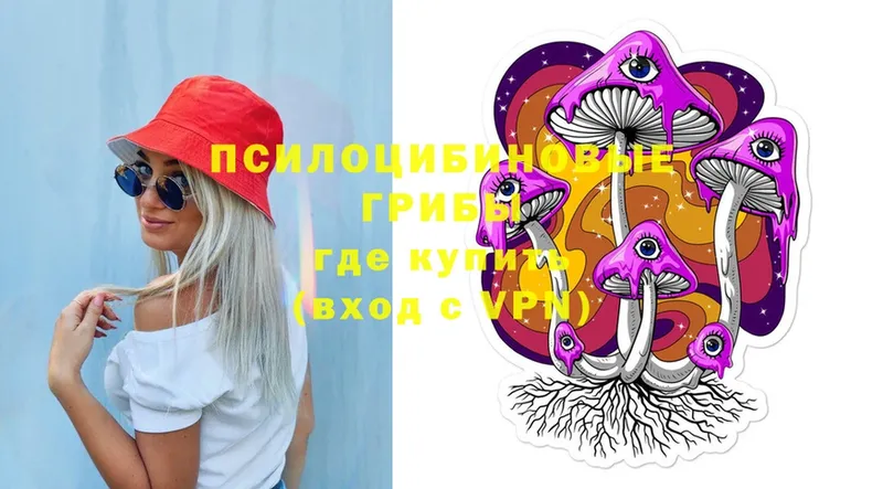 как найти закладки  Новоаннинский  Галлюциногенные грибы Magic Shrooms 